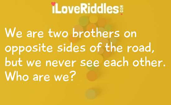 Two Brothers on Opposite Sides of the Road Riddle