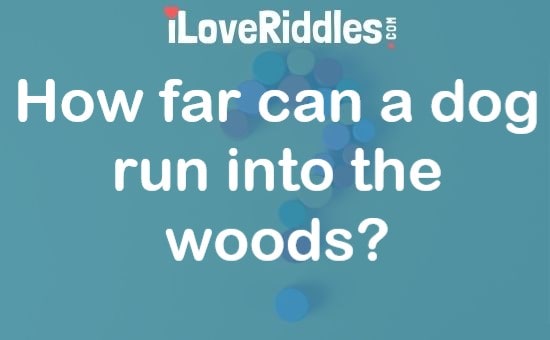 How Far Can a Dog Run Into the Woods Riddle