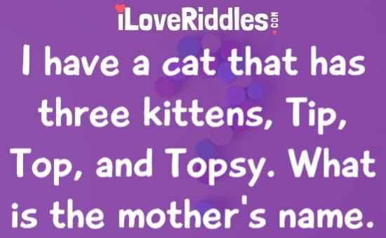 I have a cat that has three kittens riddle